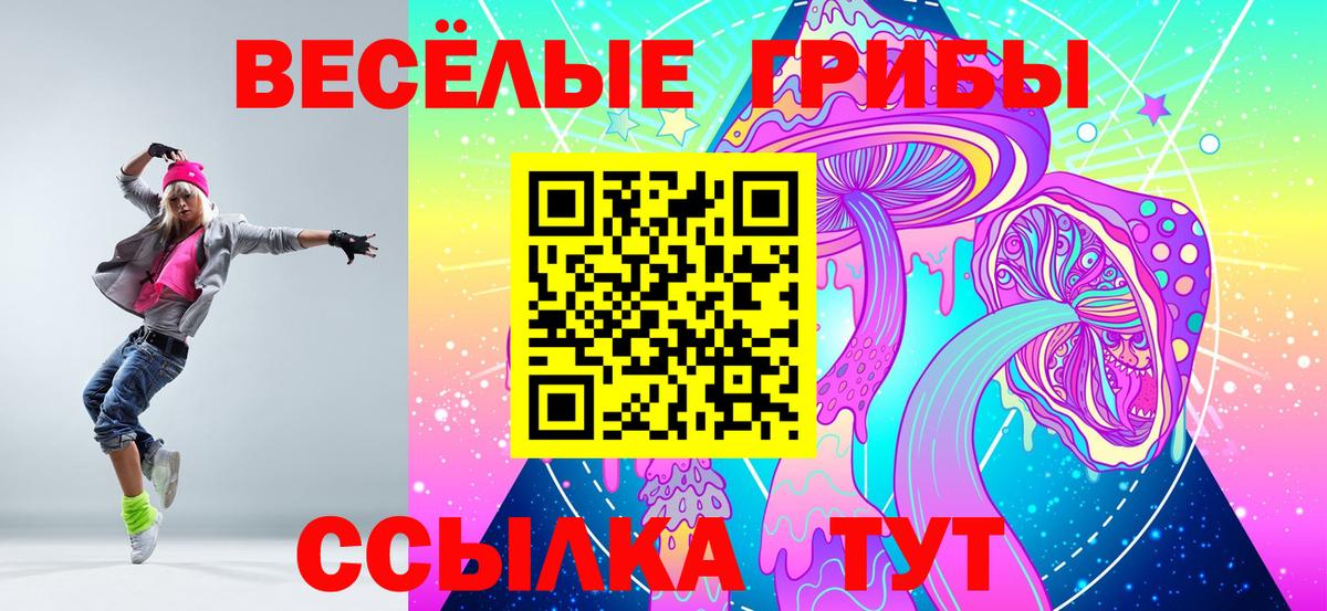 хочу   Вход с VPN  Хасавюрт  Псилоцибиновые грибы прущие грибы  Псилоцибиновые грибы Psilocybe 